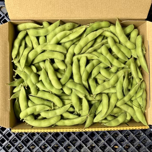 【鹿児島産】甘塩枝豆箱込み1キロ^_^