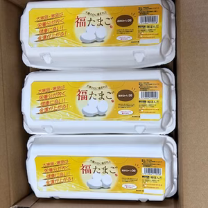 大寒の日に産まれたたまご 大寒卵 大寒玉子 30個入り【10個入り 3パック】