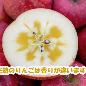 【訳あり★半額★】シャキシャキ葉とらずふじりんご【長野県産】