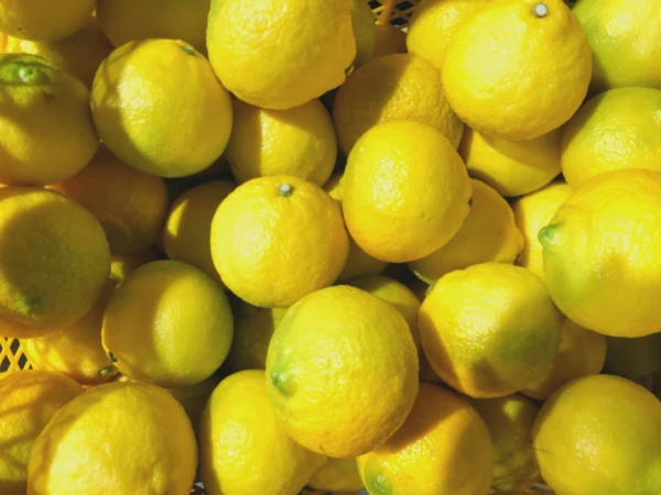 【3月も継続22%OFF】【フードロス】幸福の黄色い柑橘★はるか★5キロ