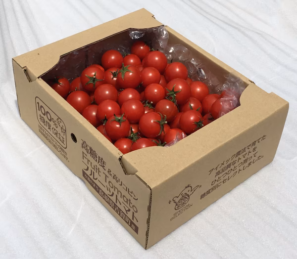 ミニトマト（ミディトマト）　tricho(トリコ）糖度8