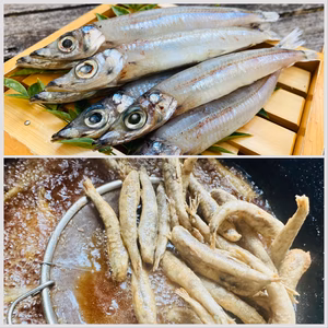 【母の日】特割！時短で深海魚料理を！メギスの丸干しとメヒカリの唐揚げセット