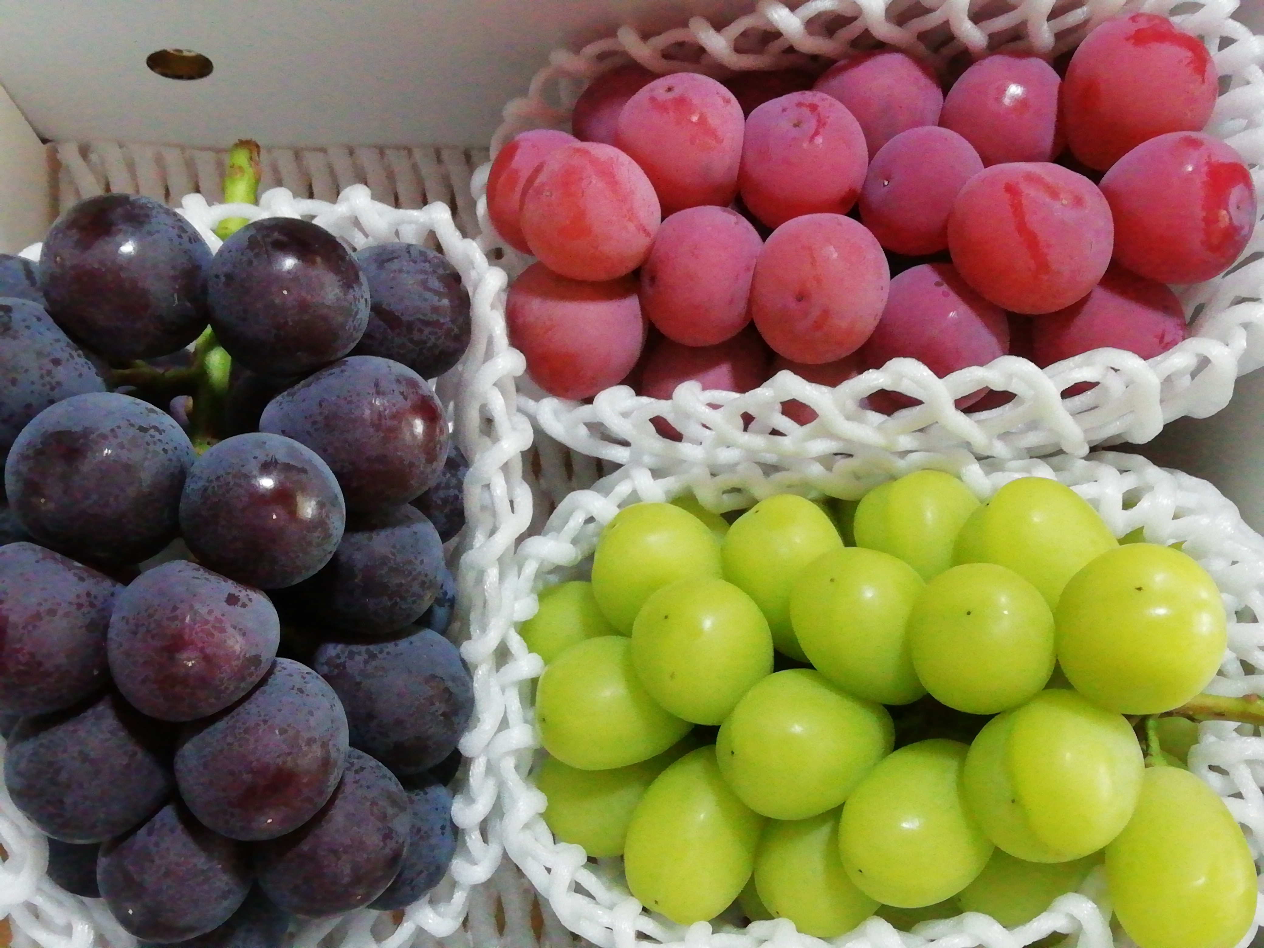 マイハートの産直通販・お取り寄せ商品｜ポケットマルシェ｜産地直送で