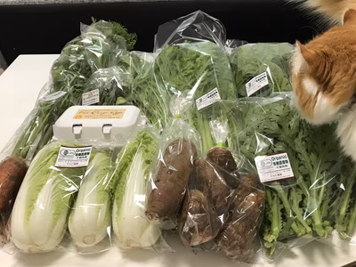 みんなの投稿の画像