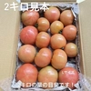 ◯減農薬◯ジューシィ❗️オトクな傷や筋ありトマト⭐️大玉トマトりんか