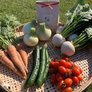 【5月限定野菜セット】れんげ米・新鮮野菜セット