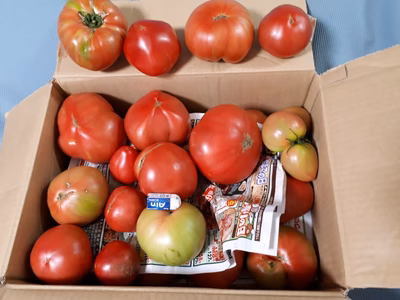 みんなの投稿の画像