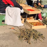 平野正美 | 野っ原の自然農園