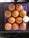 ⭐️福井農園の柿⭐️ 甘くて美味しい！特産物糸貫産！！