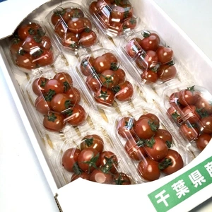 Makana〜フルーティミニトマトやみつきパック〜