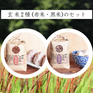 【セット商品】古与曾 玄米(300g) 赤/黒米セット 　|　古代米、玄米