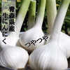 収穫後２週間しか味わえない！青森産「生」にんにく大玉500g