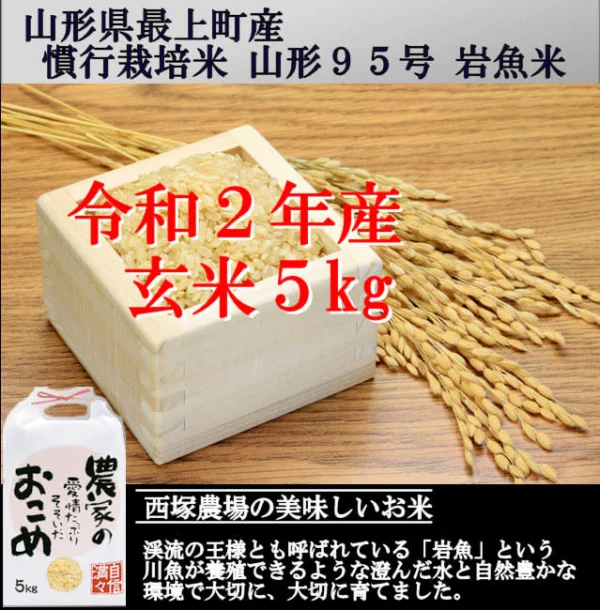 【山形県産】山形95号 岩魚米（玄米5kg）