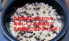 【新米】自然栽培！「豊コシヒカリ」玄米２０ｋｇ