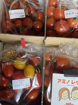 みんなの投稿の画像