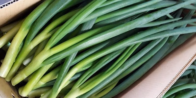 迷子の食材たちをお迎えしたい。"食べて応援"のたしなみ