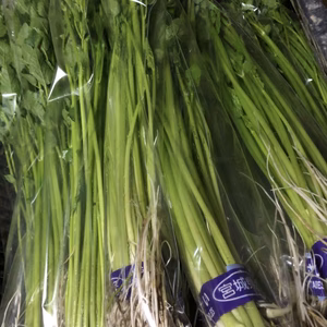 11月の名取せり100g束×10袋