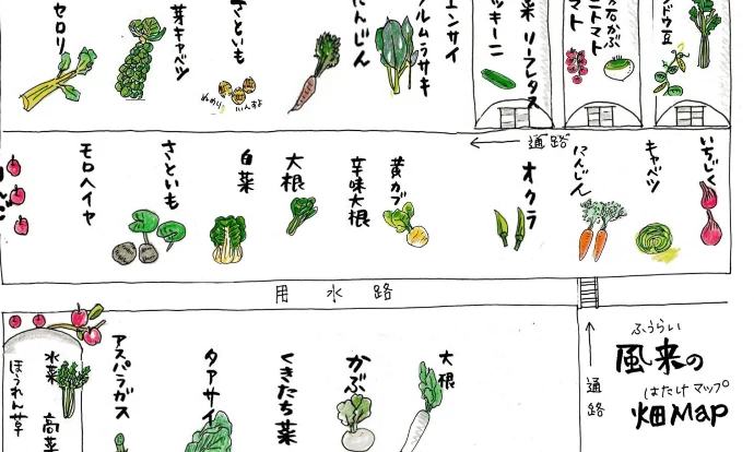 【豊作サービス】風来の特製野菜セット【販売23年目】