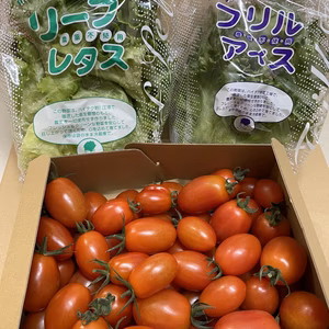 『安心・おいしい・体に良い』農薬不使用レタス&ミニトマトセット