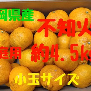 静岡県産　不知火　家庭用　小玉サイズ　約4.5㎏