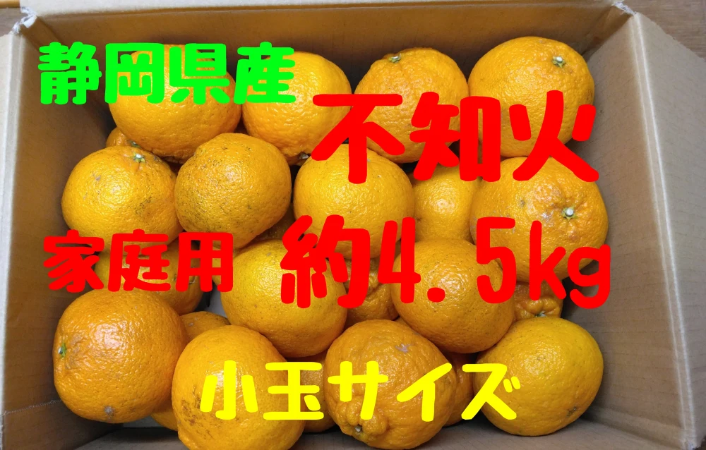静岡県産　不知火　家庭用　小玉サイズ　約4.5㎏