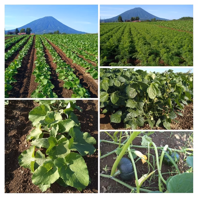 みんなの投稿の画像