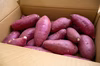 北海道産・無農薬甘藷【紅はるか】S～L混載　 ５kg 数量限定でのご提供。