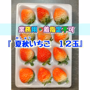 【１２玉/着指定不可】青森県下北産　夏秋いちご「すずあかね/赤い妖精」【業務用】