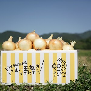 淡路島たまねぎ　１０ｋｇ　ひょうご安心ブランド認証