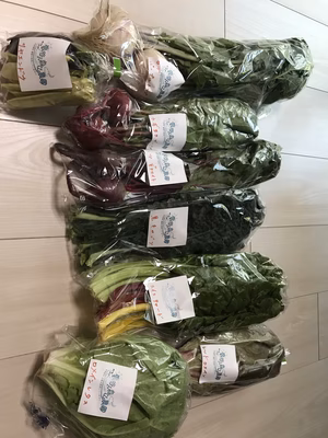 みんなの投稿の画像