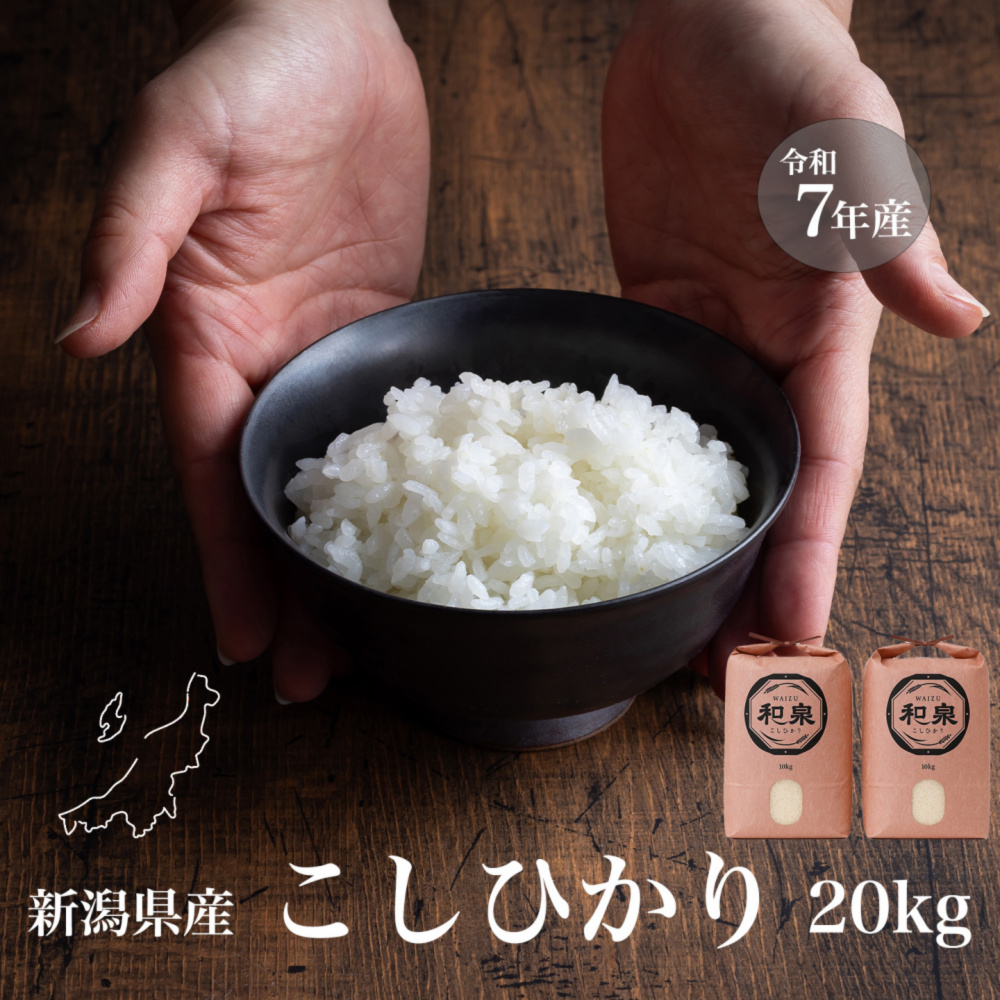 新潟県産コシヒカリ,和泉,20kg,令和7年新米,【受注後精米・農家直送