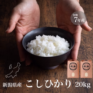 新潟県産コシヒカリ,和泉,20kg,令和7年新米,【受注後精米・農家直送】