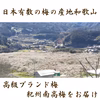 梅干し 300ｇ４種から選べる！ 梅 うめぼし 和歌山県産 南高梅！肉厚つぶれ梅
