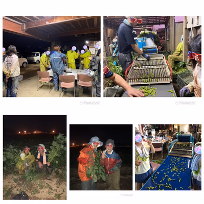 みんなの投稿の画像