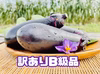 【訳ありB級品】『赤土土壌』朝彩り鮮度抜群‼︎当日発送★秋ナス