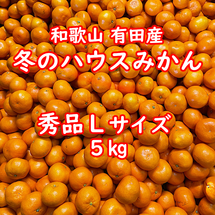 濃い濃い☆ 淡路島産清見オレンジ 訳あり サイズ混合 3kg - 果物