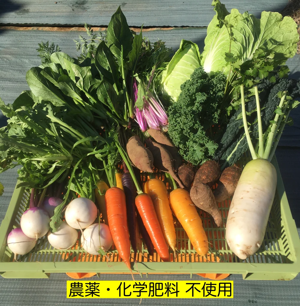 できるだけ定番野菜セット（７点・80サイズ）　＜農薬・化学肥料不使用＞