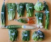 京都から旬の野菜を詰め合わせ野菜セット