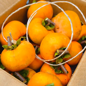 お家で簡単♪手作り干し柿♪〚干し柿用平核無柿〛