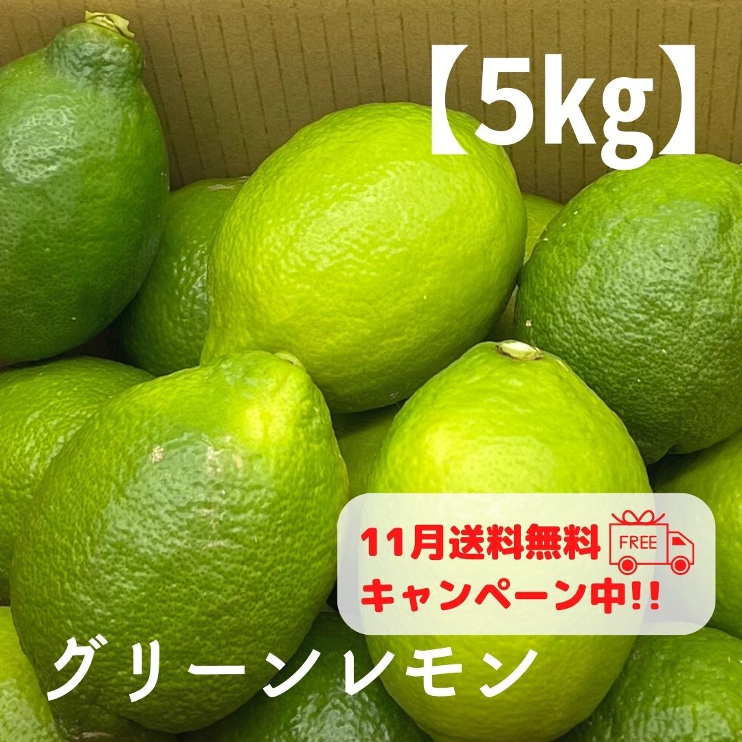 国産グリーンレモン 1.1kg 通販