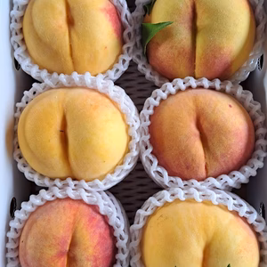 山梨生まれ、山梨育ち！黄桃【甲斐黄桃】