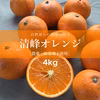 濃厚な甘さ！ご家庭向きの清峰オレンジ【農薬不使用】