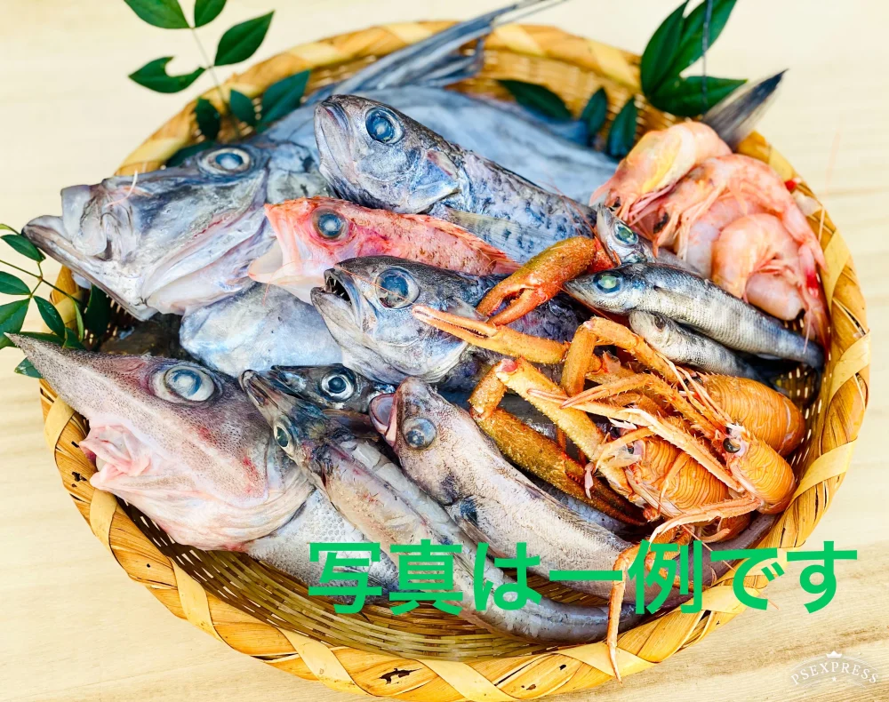 魚ガチャ】初心者必見！何が入っているかわからない［未利用魚］おかず