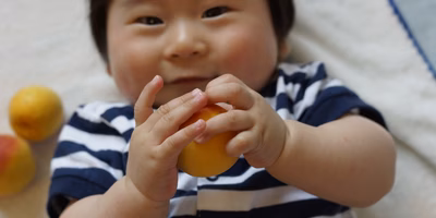 有機JAS認証の南高梅で「梅しごとはじめ」。オーガニック梅農家さんに聞きました！