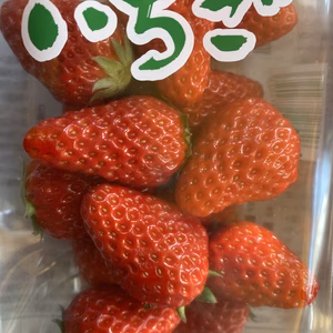 コロナ禍で行き場のない　隣のてっちゃん家のいちご