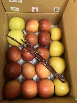 みんなの投稿の画像