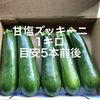 【鹿児島産】甘塩ズッキーニ箱込み1キロ^_^