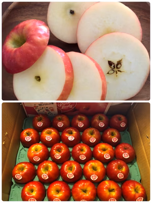 みんなの投稿の画像