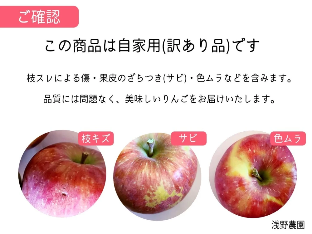 りんごの代表格！ サンふじ 自家用(訳あり品) 長野県