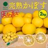 【数量限定】市場にはあまり出回らない、完熟かぼす　2kg（約15～25個）